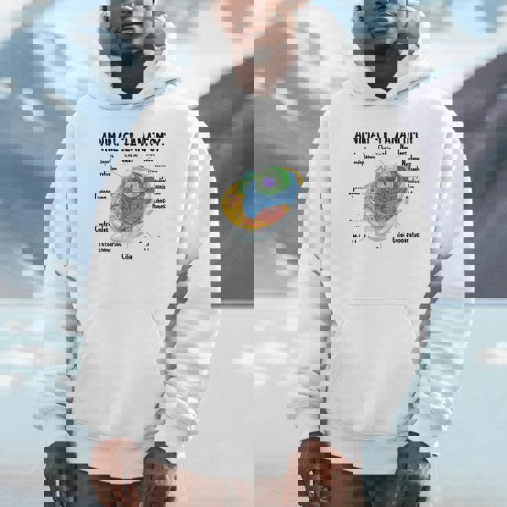 動物細胞の解剖学 生物学者 理科学生 パーカー