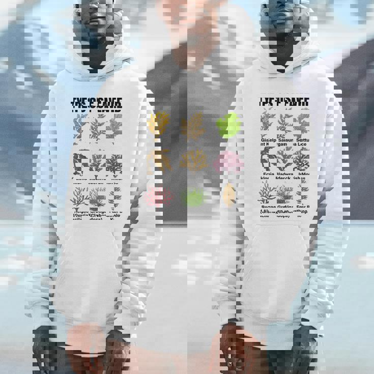 海藻の種類、海藻種チャート、海藻の種類 パーカー