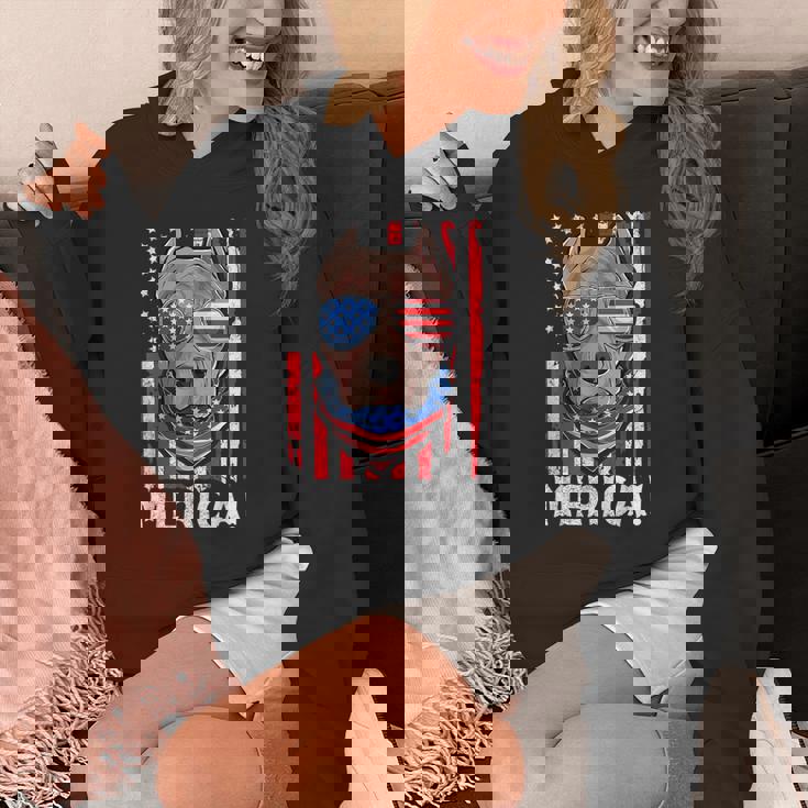 Pit-Bull Usa 愛国的な犬服 アメリカ国旗 メンズ パーカー