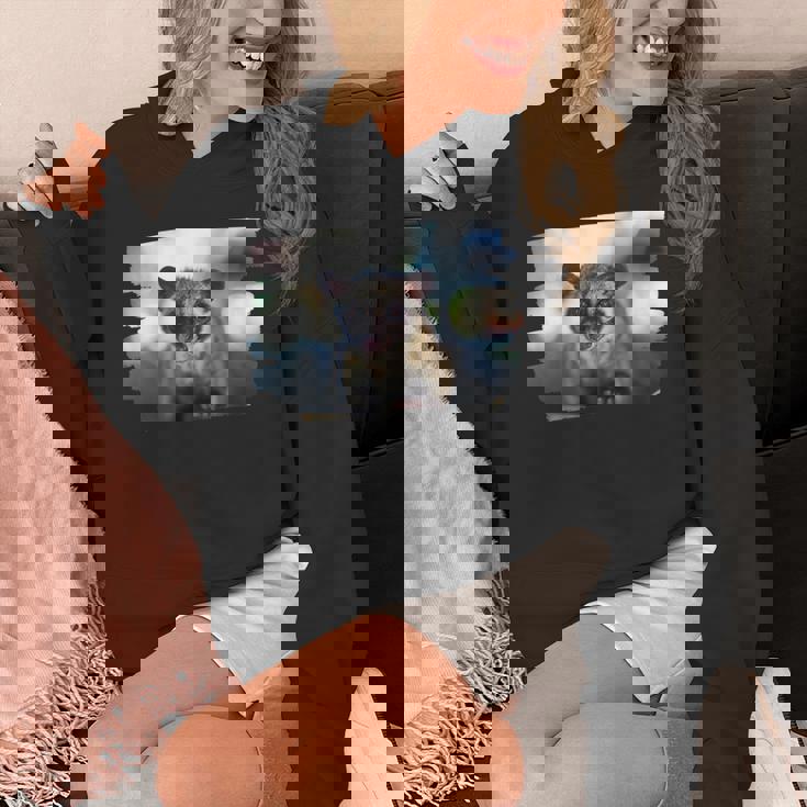 アジアパームシベット パラドクスルス ヘルマプロディタス パーカー