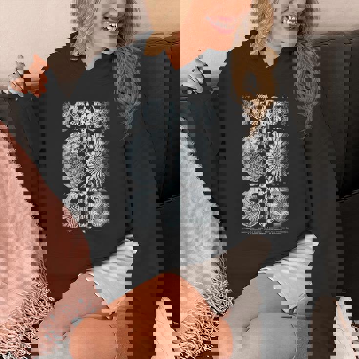 アンモナイト化石 地質学者 古生物学者研究 古生物学 パーカー