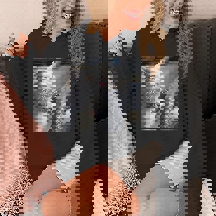 猫のミームtシャツを運転します パーカー