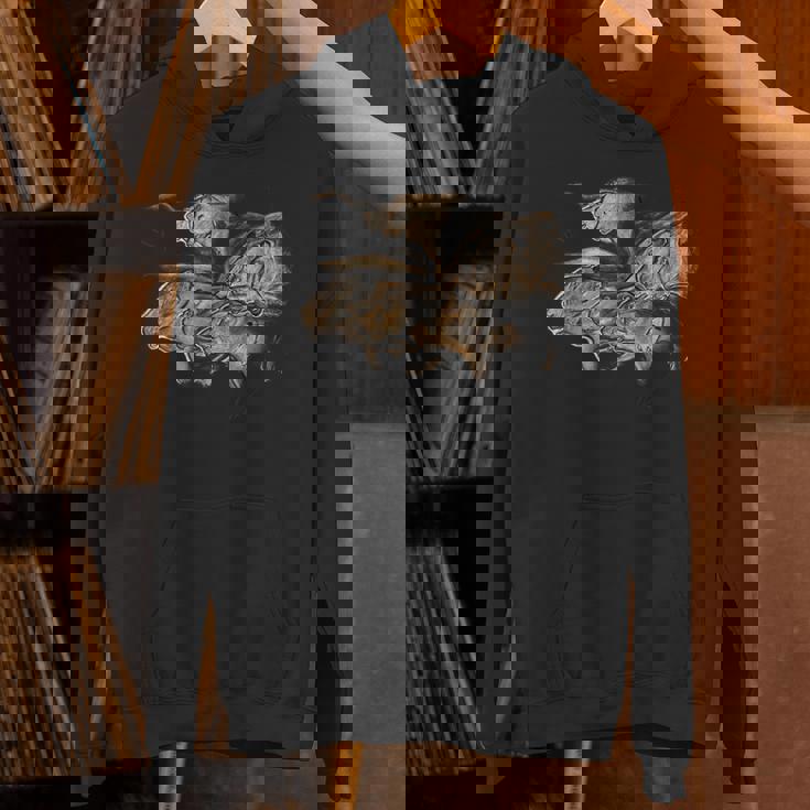 Chauvetのライオンの先史時代の石器時代の洞窟壁画 パーカー