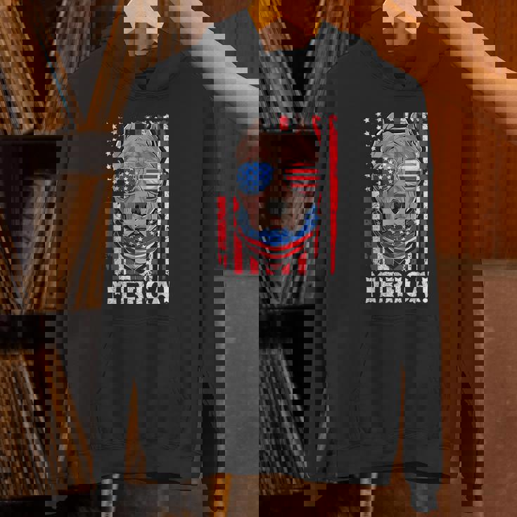 Pit-Bull Usa 愛国的な犬服 アメリカ国旗 メンズ パーカー