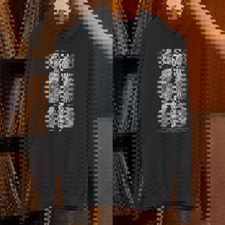 アンモナイト化石 地質学者 古生物学者研究 古生物学 パーカー