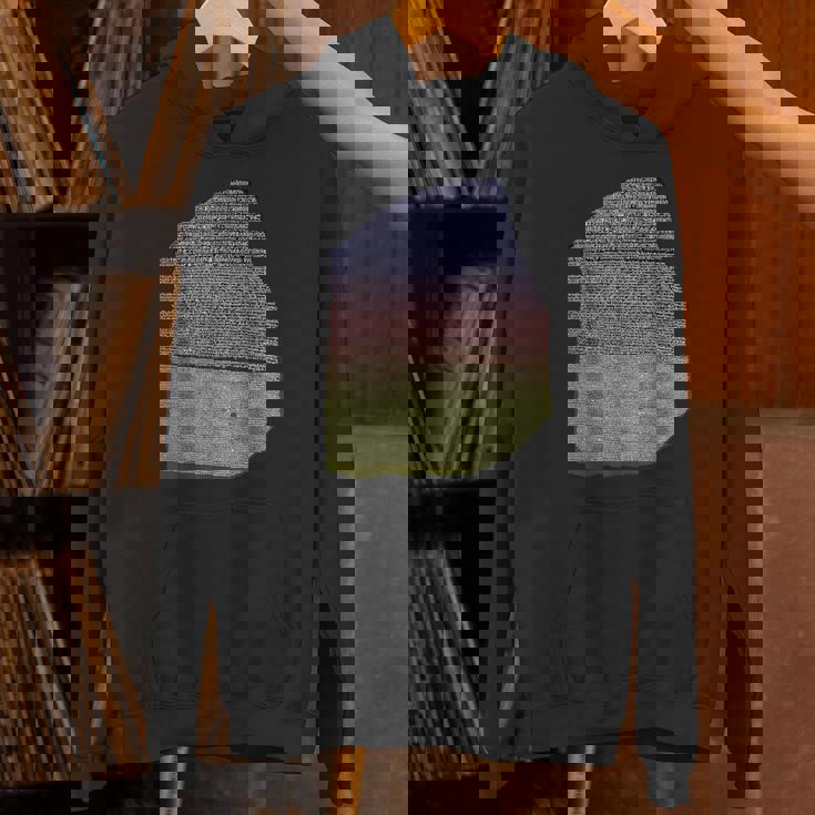 カラーロゼッタストーン 象形文字 ギリシャ デモティックス パーカー