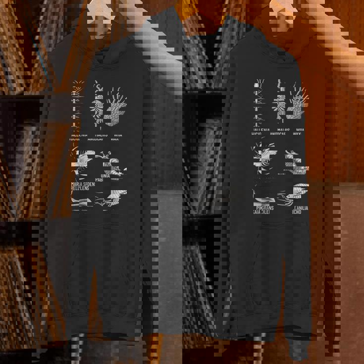 カンブリア紀 生き物 化石 古美術 進化 科学 恋人 パーカー