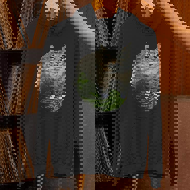 スイカ猫ミーム パーカー