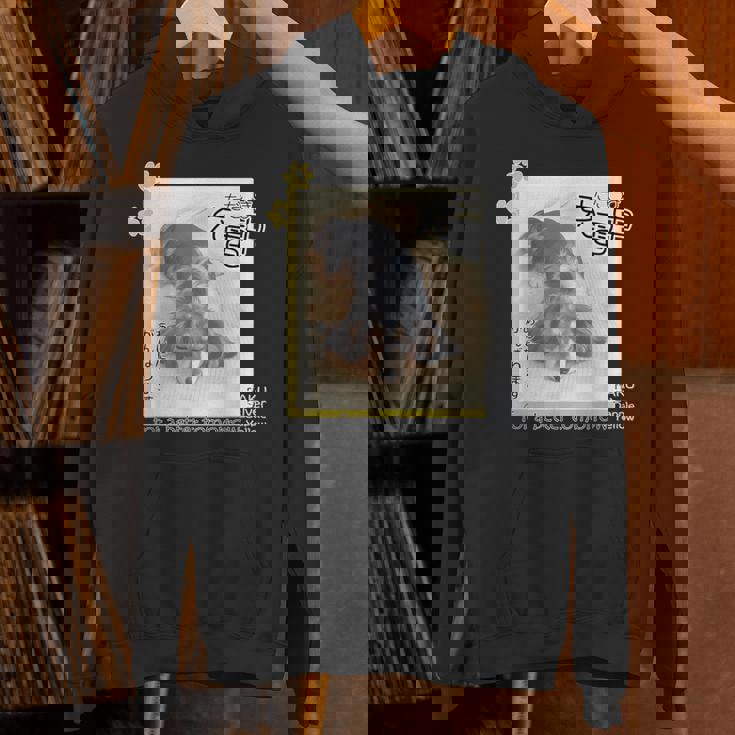 ダックス ミニチュアダックス シルバーダップル らく 充電中 明日がんばる 犬 パーカー