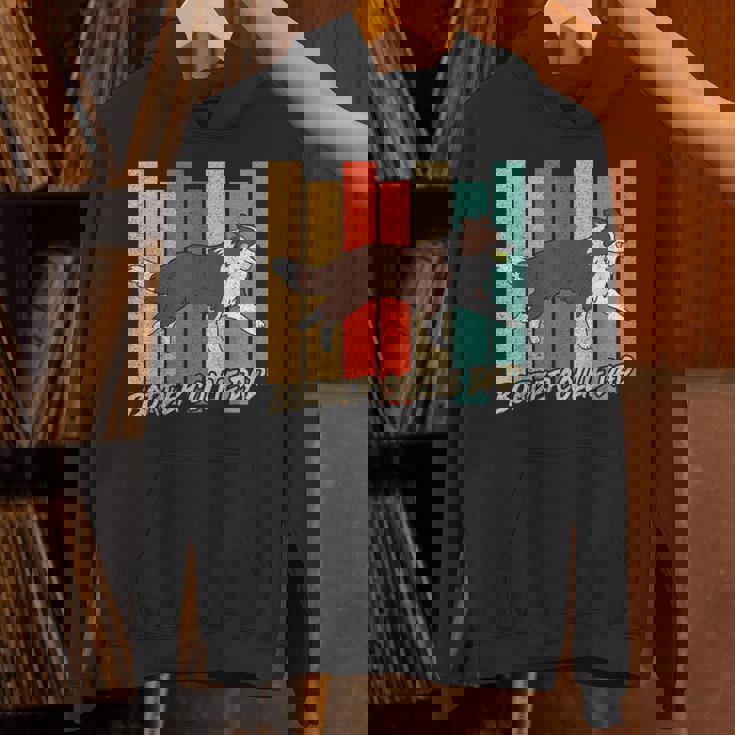 ビンテージ レッドボーダーコリー 犬 お父さん 犬 飼い主 父の日 パーカー