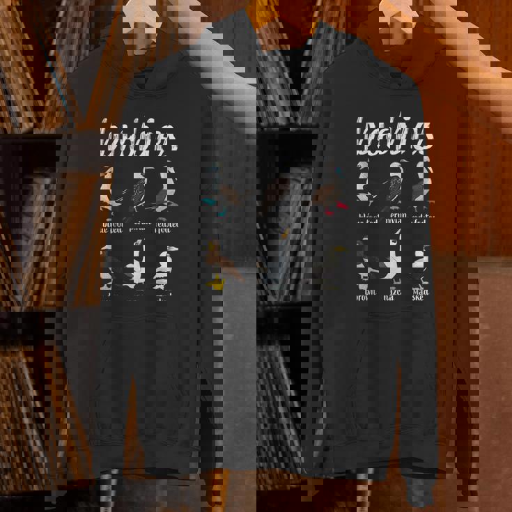 ブービーバード面白いカツオドリ パーカー