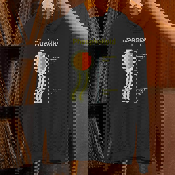 リン脂質 パーカー