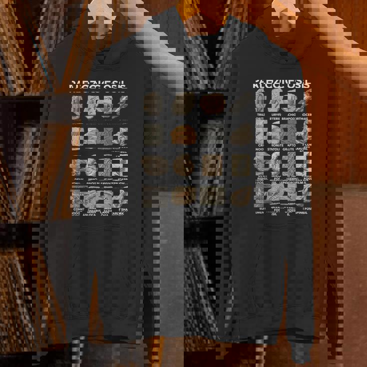 古生代化石チャート古生物学科学愛好家 パーカー