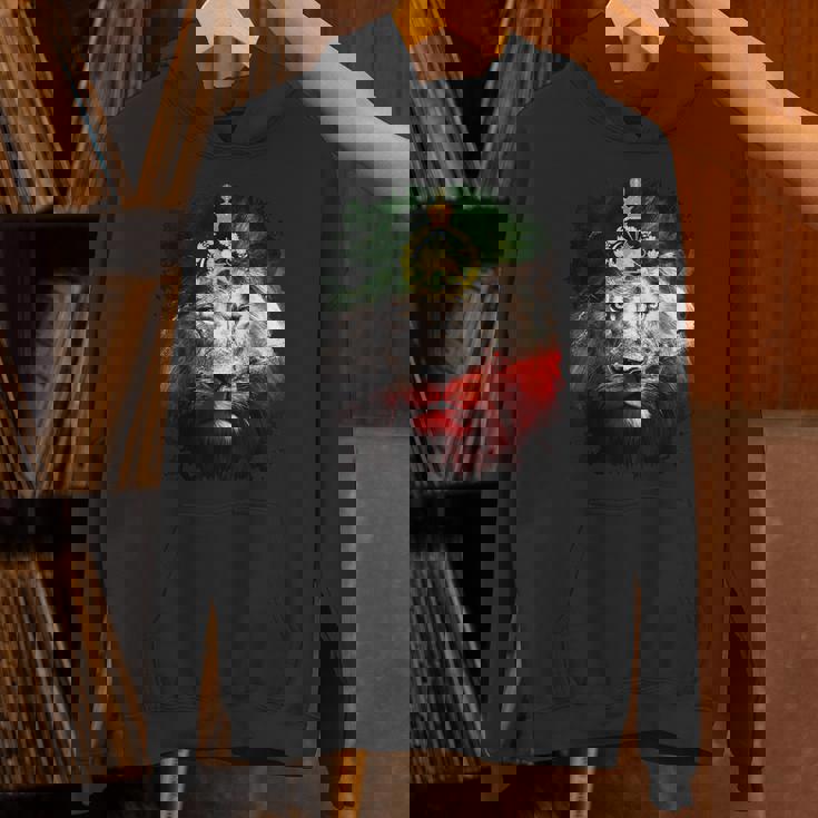 金色のライオンの頭が付いたイランの国旗。 パーカー