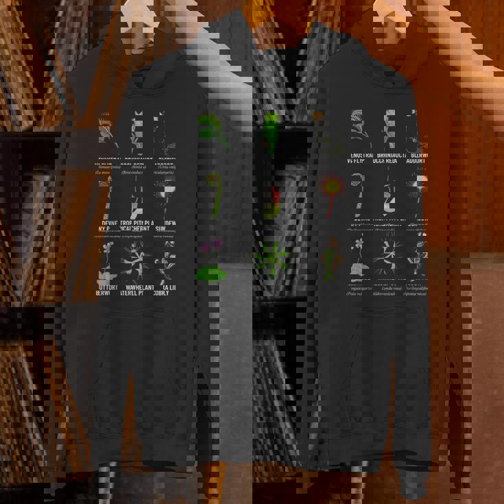 食虫植物 チャートハエトリグサ、食虫植物 パーカー