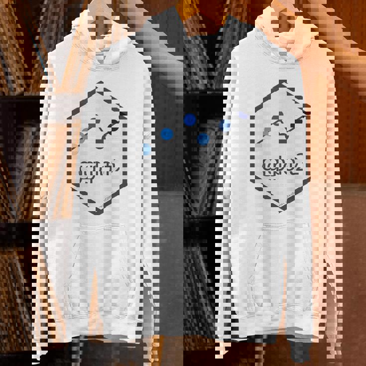 R Programming Ggplot2 六角tシャツ Rstudio Tidyverse Rstats パーカー