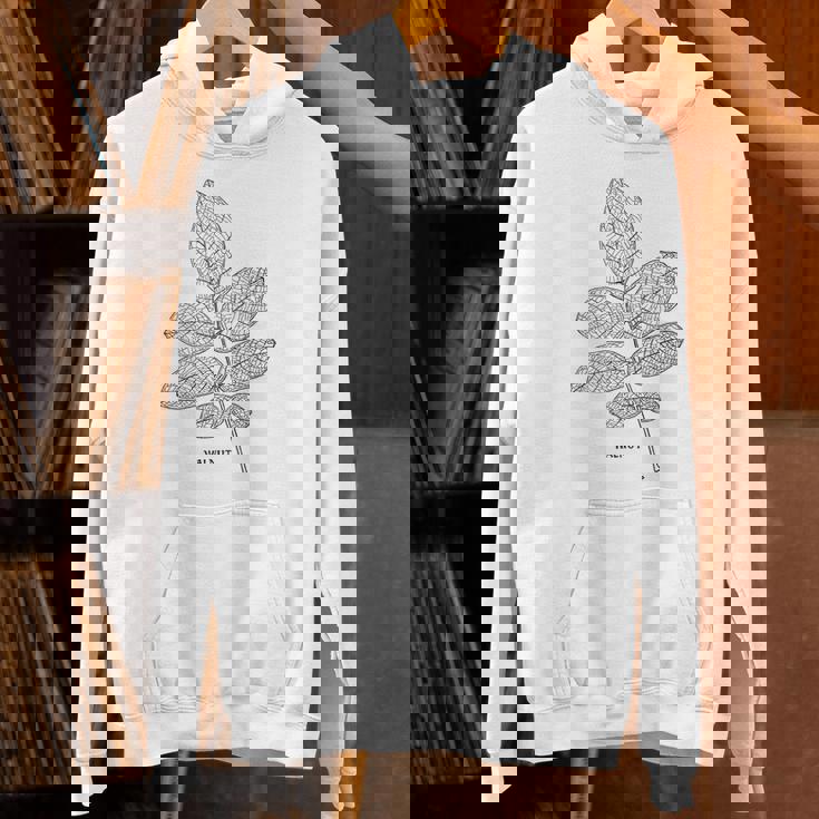 ウォールナットツリーリーフヴィンテージ植物学tシャツtシャツ パーカー