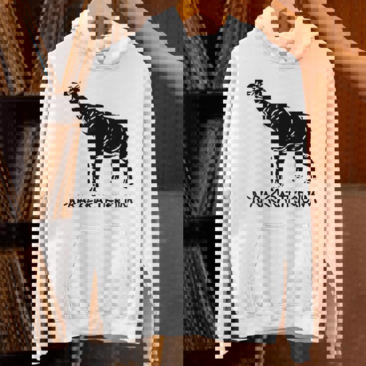 パラケラテリウム 絶滅動物 サイ 古生物学 パーカー