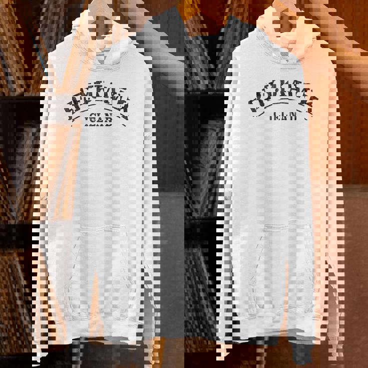 レイキャビク アイスランド レイキャビク アイスランド パーカー