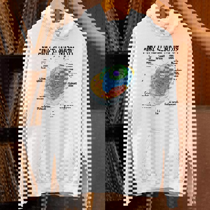 動物細胞の解剖学 生物学者 理科学生 パーカー