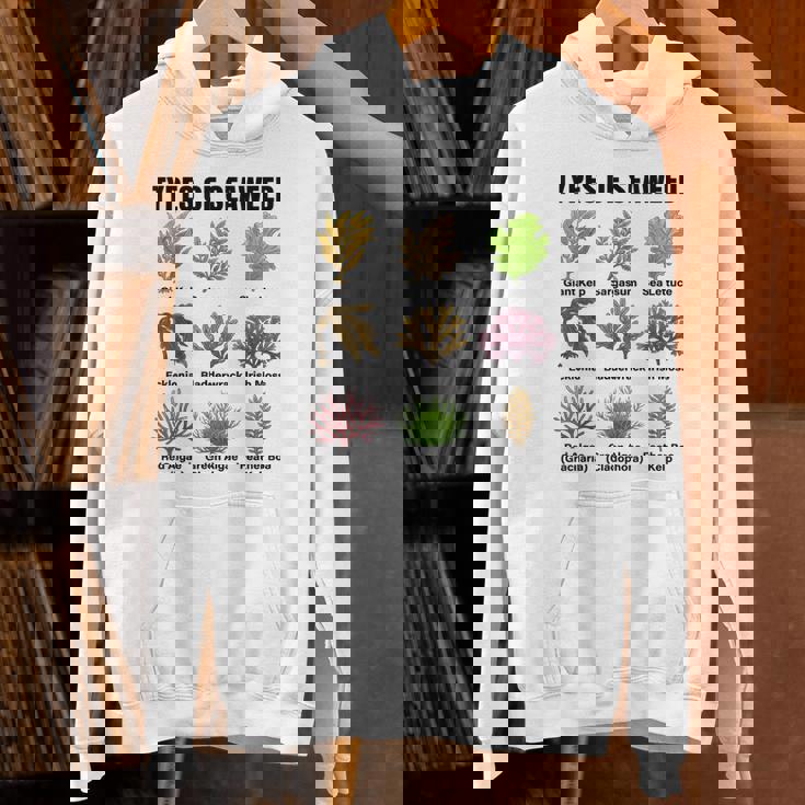 海藻の種類、海藻種チャート、海藻の種類 パーカー