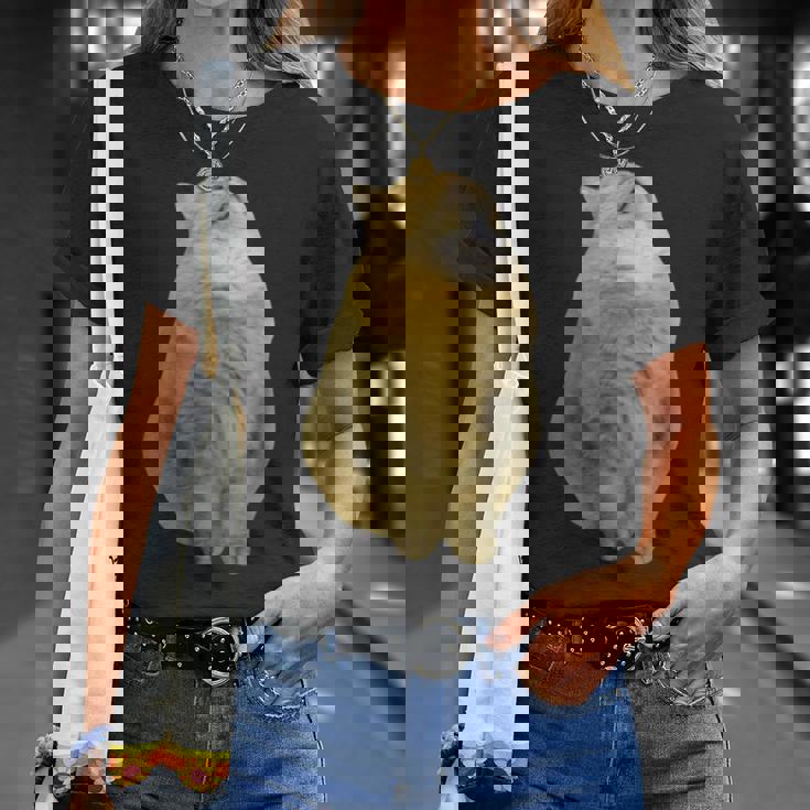 Meme Yellow Cat leep Internetiral Tシャツ 彼女への贈り物