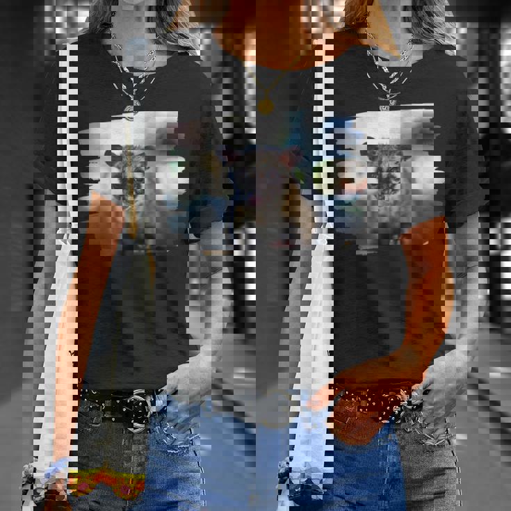 アジアパームシベット パラドクスルス ヘルマプロディタス Tシャツ 彼女への贈り物