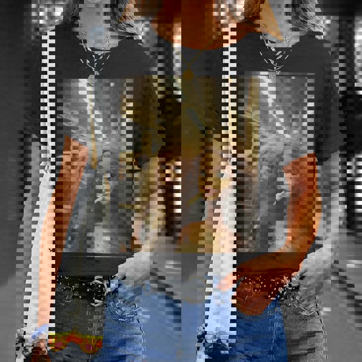 アンティーク調のドールフェイスミーム Tシャツ 彼女への贈り物