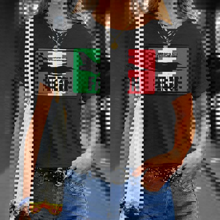 イタリアン F-16 ファルコンパッチ Tシャツ 彼女への贈り物