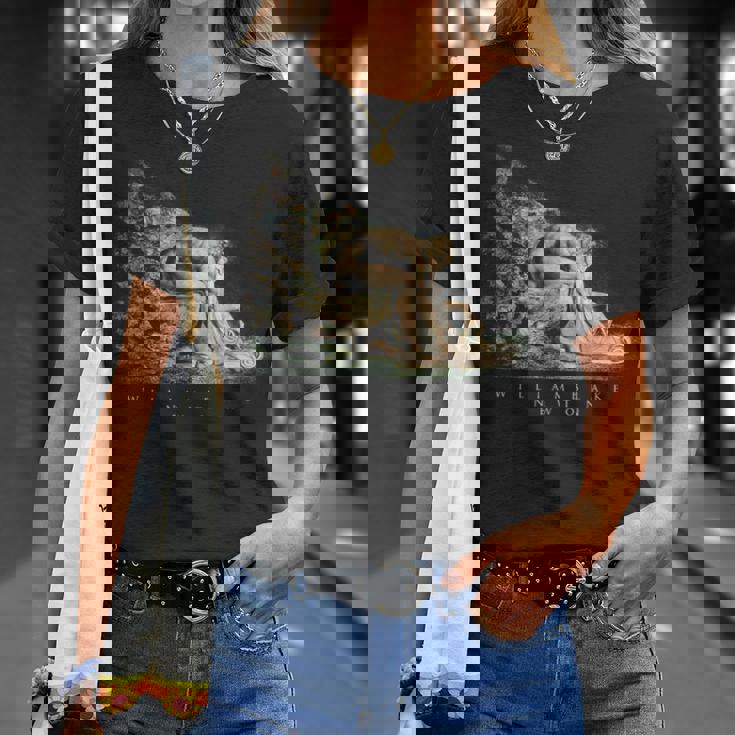 ウィリアム・ブレイク アイザック・ニュートンの肖像 物理学者 科学 芸術 William Blake Newton Tシャツ 彼女への贈り物