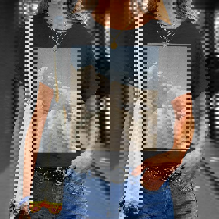 ビンテージクラウドエステティックドリームコア Tシャツ 彼女への贈り物