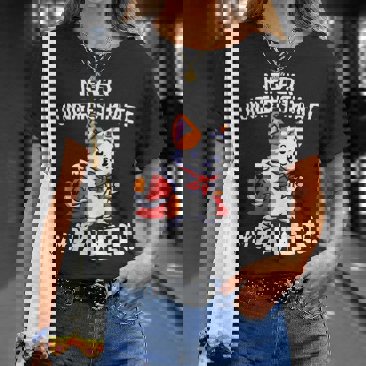 猫に言わせると、Don't Underestimate My Pawer Pun Cat（私の肉球を甘く見ないで）。 Tシャツ 彼女への贈り物