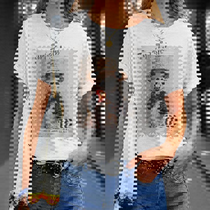 麦わら帽子 りんご パンダ 小さなパンダ 切手風 Tシャツ 彼女への贈り物