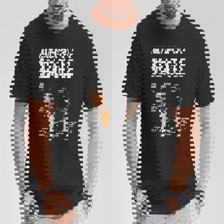 Anatomy Of A Beagle ファニービーグル Tシャツ 面白い贈り物
