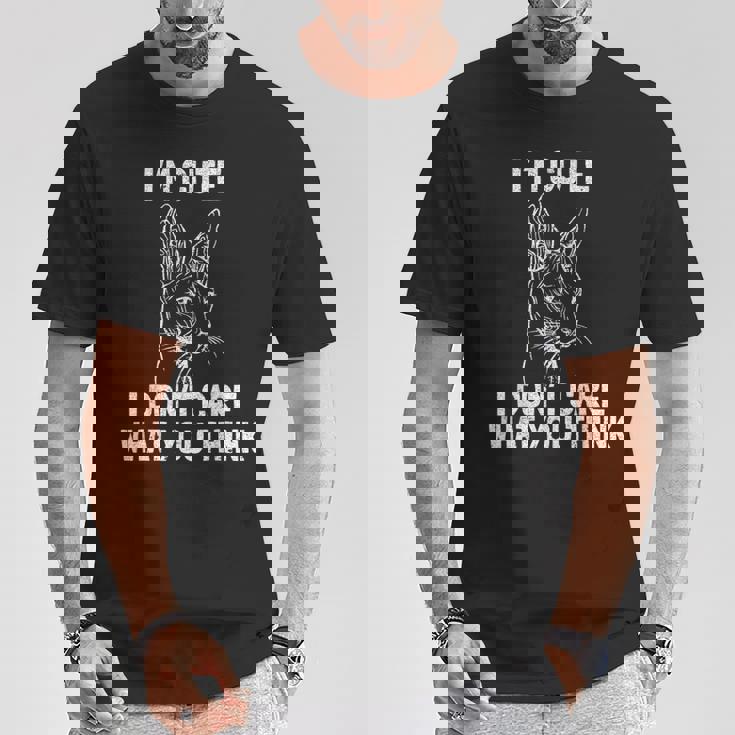 Gato Esfinge Mascota Bastet Gatophynx Camiseta unisex Regalos divertidos