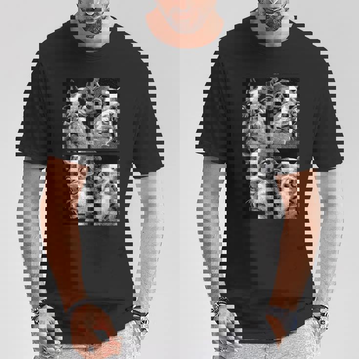 Hypnotic Boston Terriers Weird Eyes Weirdcore Halloween Dogs Tank Top T-Shirt Unique Gifts