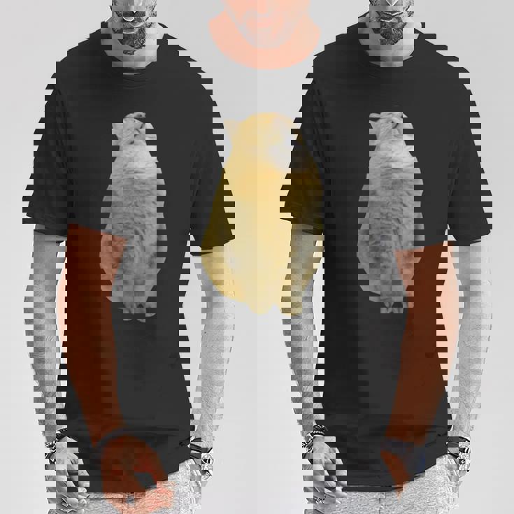 Meme Yellow Cat leep Internetiral Tシャツ 面白い贈り物