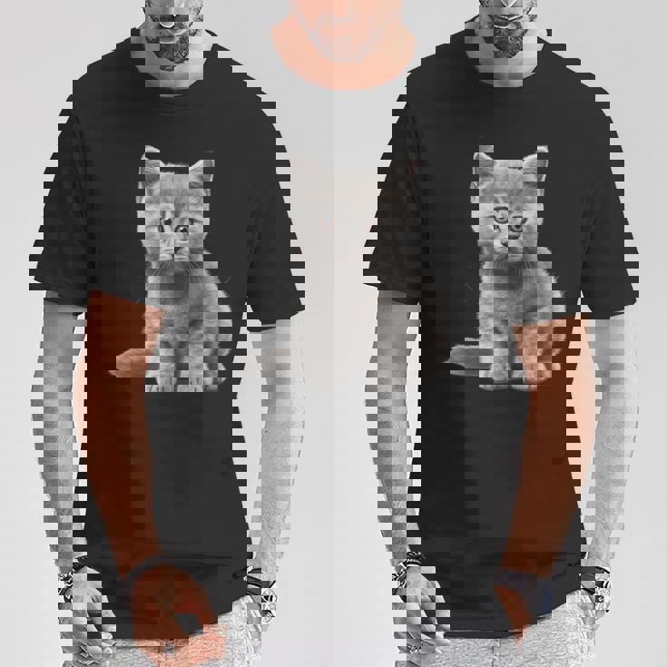 かわいいブリティッシュショートヘア 猫好きの子猫 Tシャツ 面白い贈り物