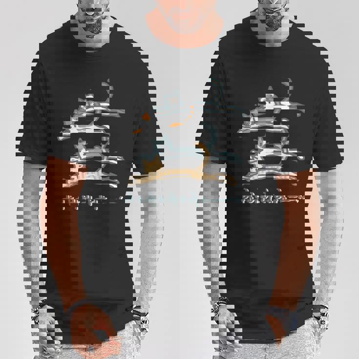 みょみょみょみょーん 猫 ネコ 茶トラ ハチワレ 三毛 シャム シュール おもしろ 可愛い メンズ レディース キッズ Tシャツ 面白い贈り物