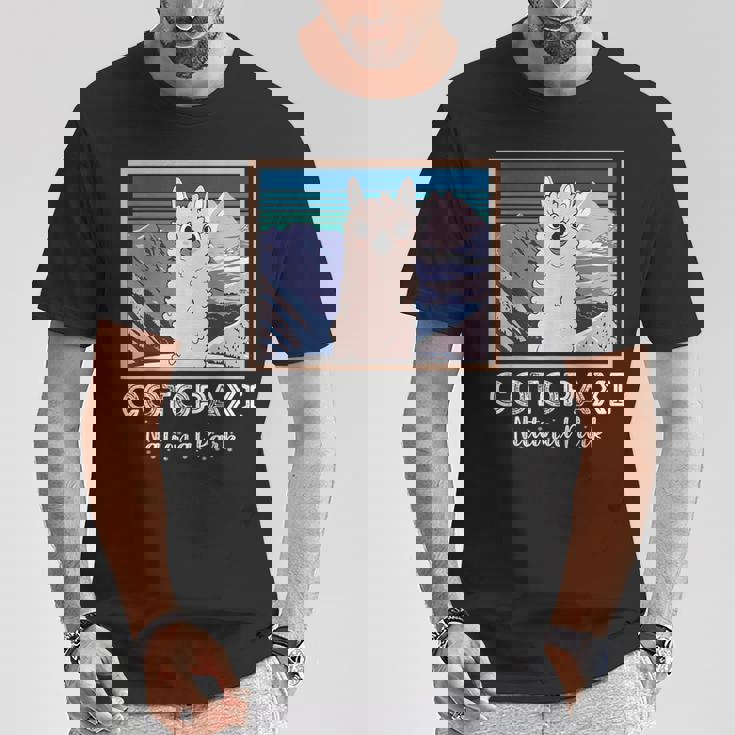 エクアドル山脈コトパクシ国立公園のかわいいラマ Tシャツ 面白い贈り物