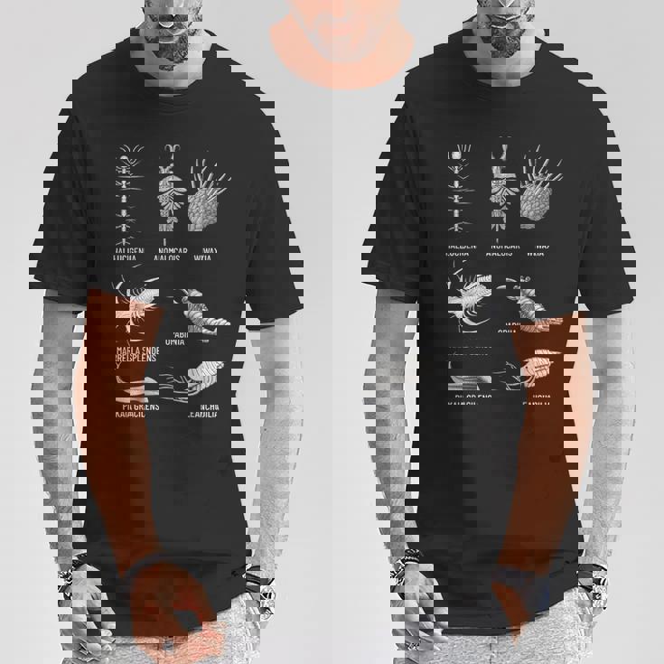 カンブリア紀 生き物 化石 古美術 進化 科学 恋人 Tシャツ 面白い贈り物