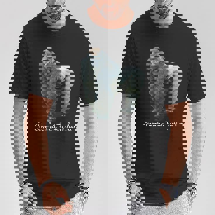 シルバーバック ゴリラ Tシャツ 面白い贈り物