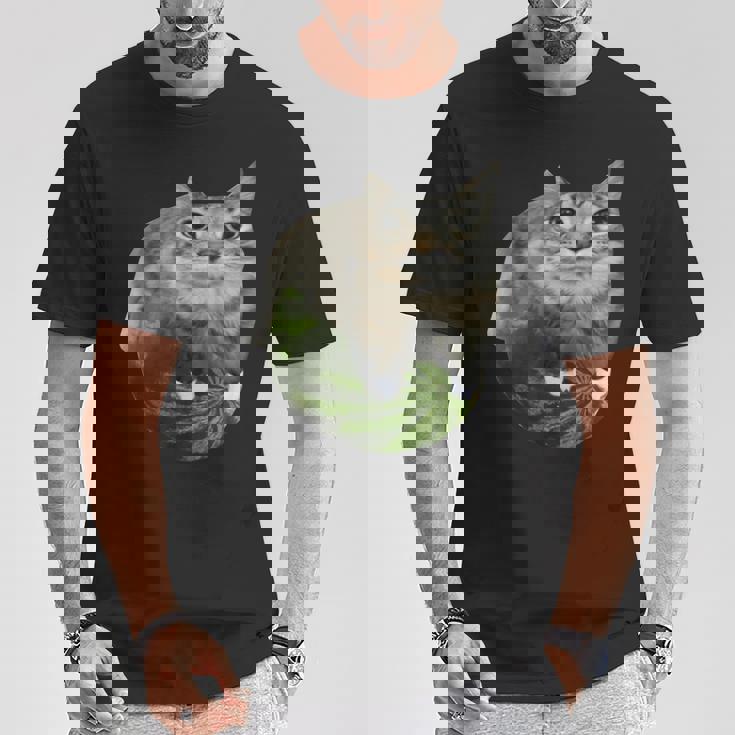 スイカ猫ミーム Tシャツ 面白い贈り物