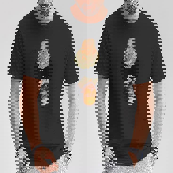 セルバンテス対シェイクスピア Tシャツ 面白い贈り物