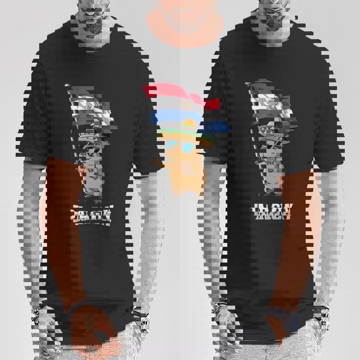 パラグアイ国旗 パラグアイのプライド Tシャツ 面白い贈り物