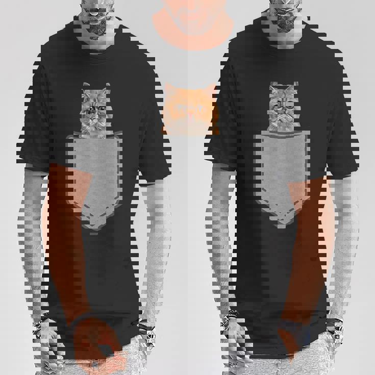 ファニーエキゾチックショートヘア猫 Tシャツ 面白い贈り物