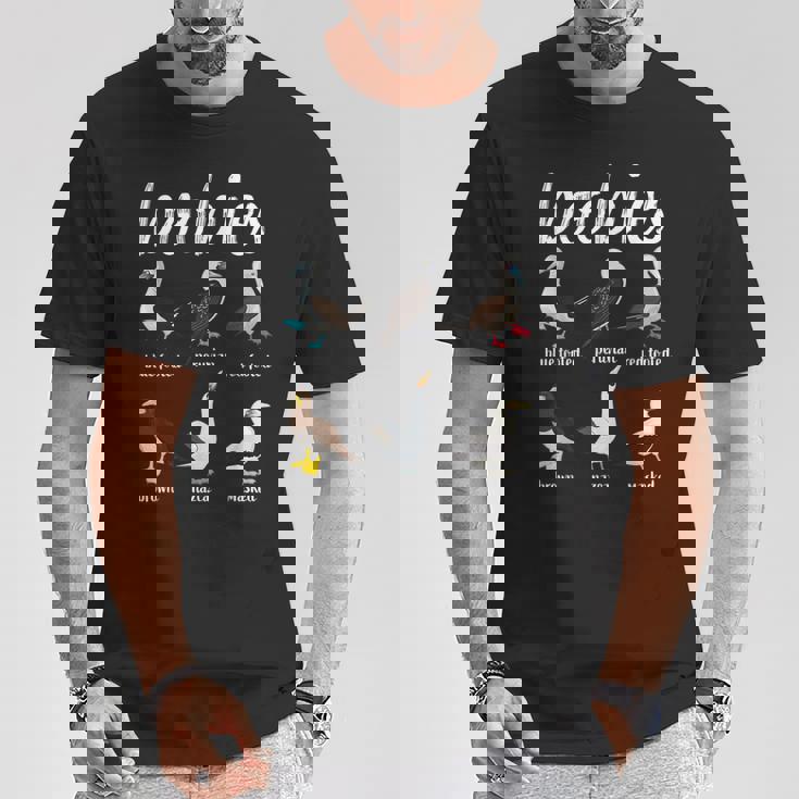 ブービーバード面白いカツオドリ Tシャツ 面白い贈り物