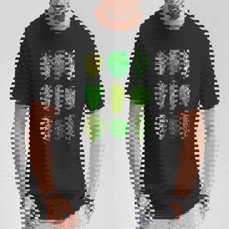 ボタニストガーデン サトイモモンステラ 植物コレクション 葉 長袖tシャツ Tシャツ 面白い贈り物