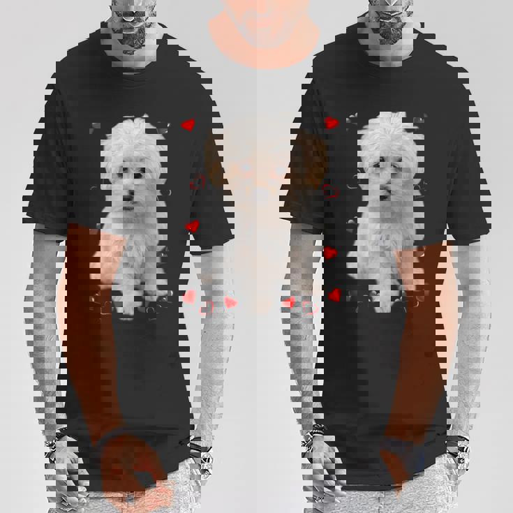 マルチーズ 犬 オーナー ラバー デザイン 子犬 ハート デザイン Tシャツ 面白い贈り物