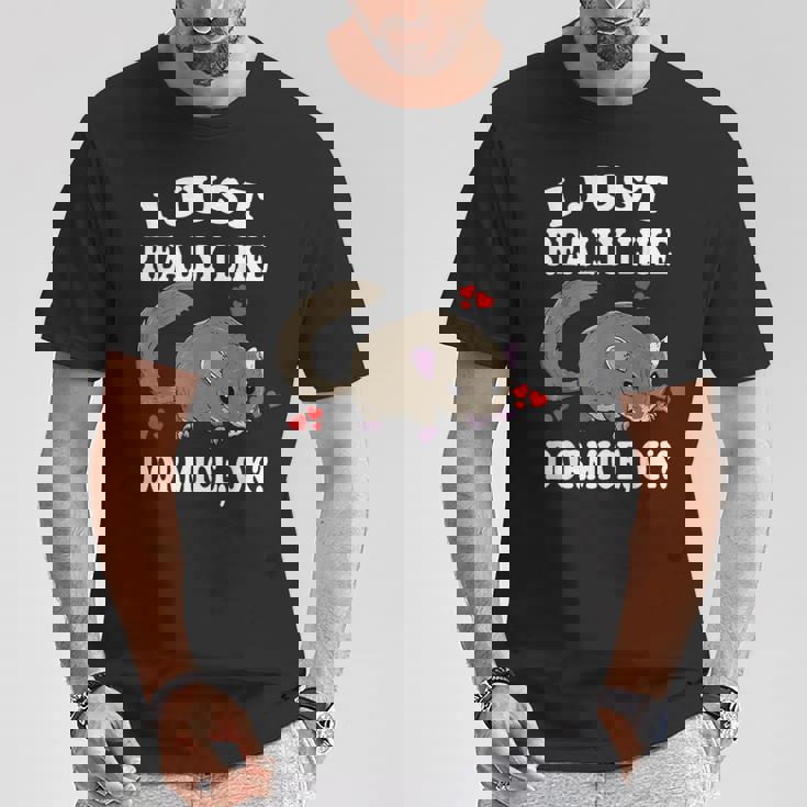 ヤマネのヤマネペットが本当に好き Tシャツ 面白い贈り物